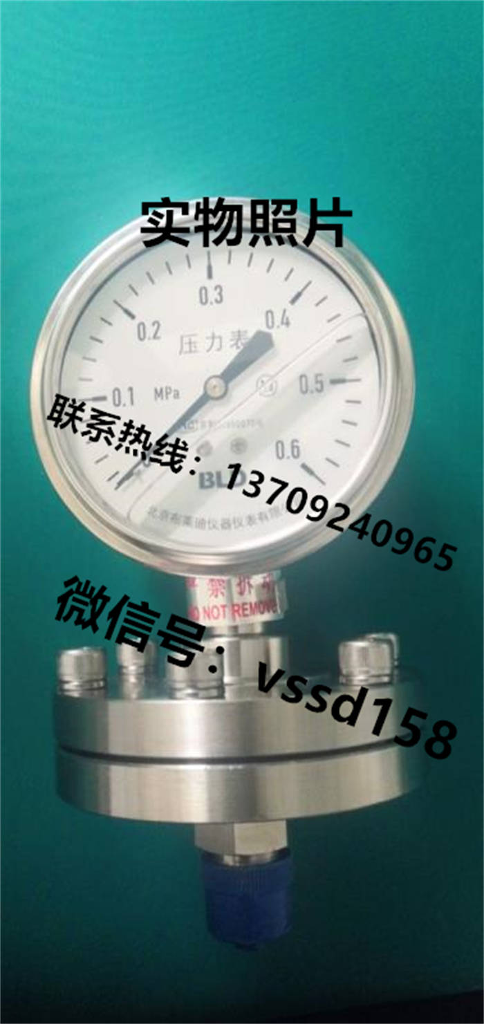 北京布莱迪BLD&brighty 压力表双金属温度计压力变送器PYTHN-100.AO  0-0.6MPA