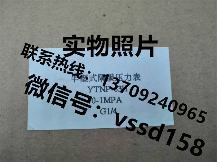 北京布莱迪BLD&brighty 压力表半塑式隔膜压力表YTNP-63H  0-1MPA (4)