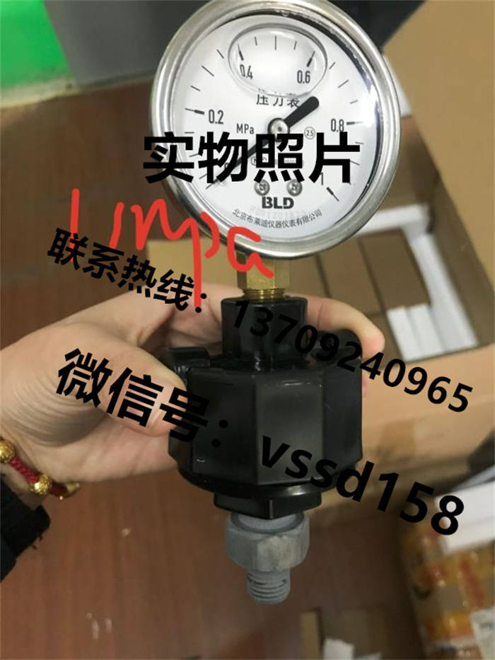北京布莱迪BLD&brighty 压力表双金属温度计压力变送器PYTSN-63  0-1MPA  0-0 (3)