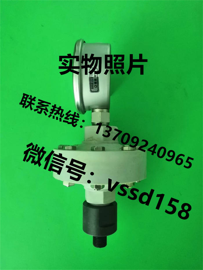 北京布莱迪BLD&brighty 压力表半塑式隔膜压力表YTNP-63H  0-1MPA (2)