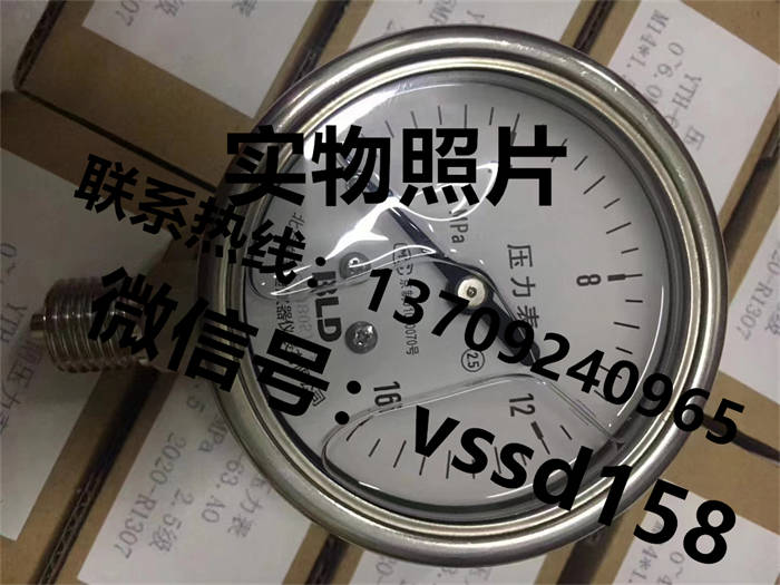北京布莱迪BLD&brighty 压力表YTH-100.A0  YTHN-100.A0  YTN-100.A0  YTHN-63 (14)