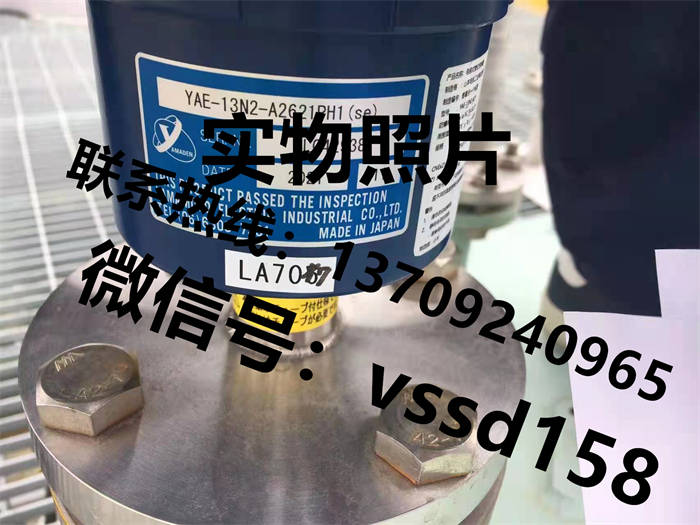 山本电机YAMADEN静电容量式液位开关YAE-13N2-A2621PH1 (2)