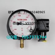 长野NKS.NAGANO KEIKI 压力表GV47-183   0-25MPA (5)