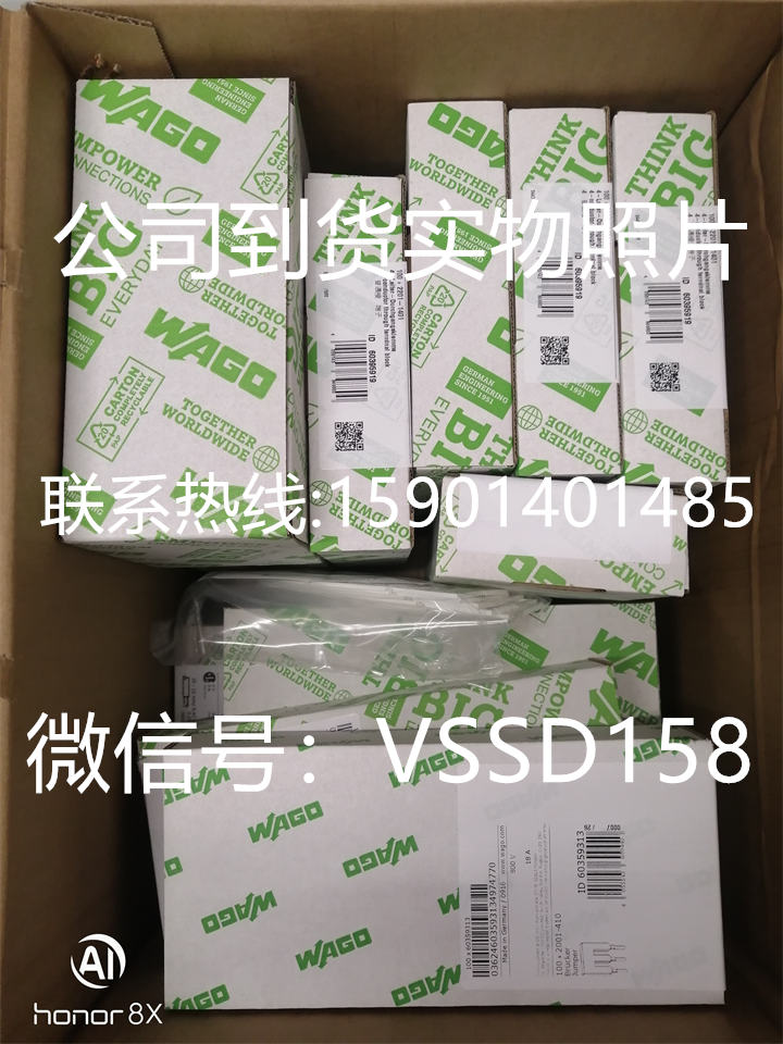 2202-2701 WAGO Corporation  连接器,互连器件  (2)