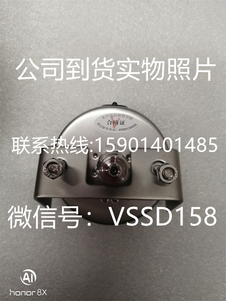 北京布莱迪BLD&brighty 压力表YTH-063.ZK  0-04MPA   M141 (3)