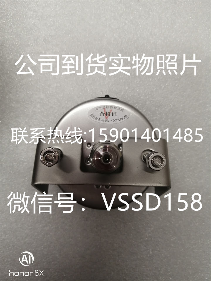 北京布莱迪BLD&brighty 压力表YTH-063.ZK  0-04MPA   M141 (4)