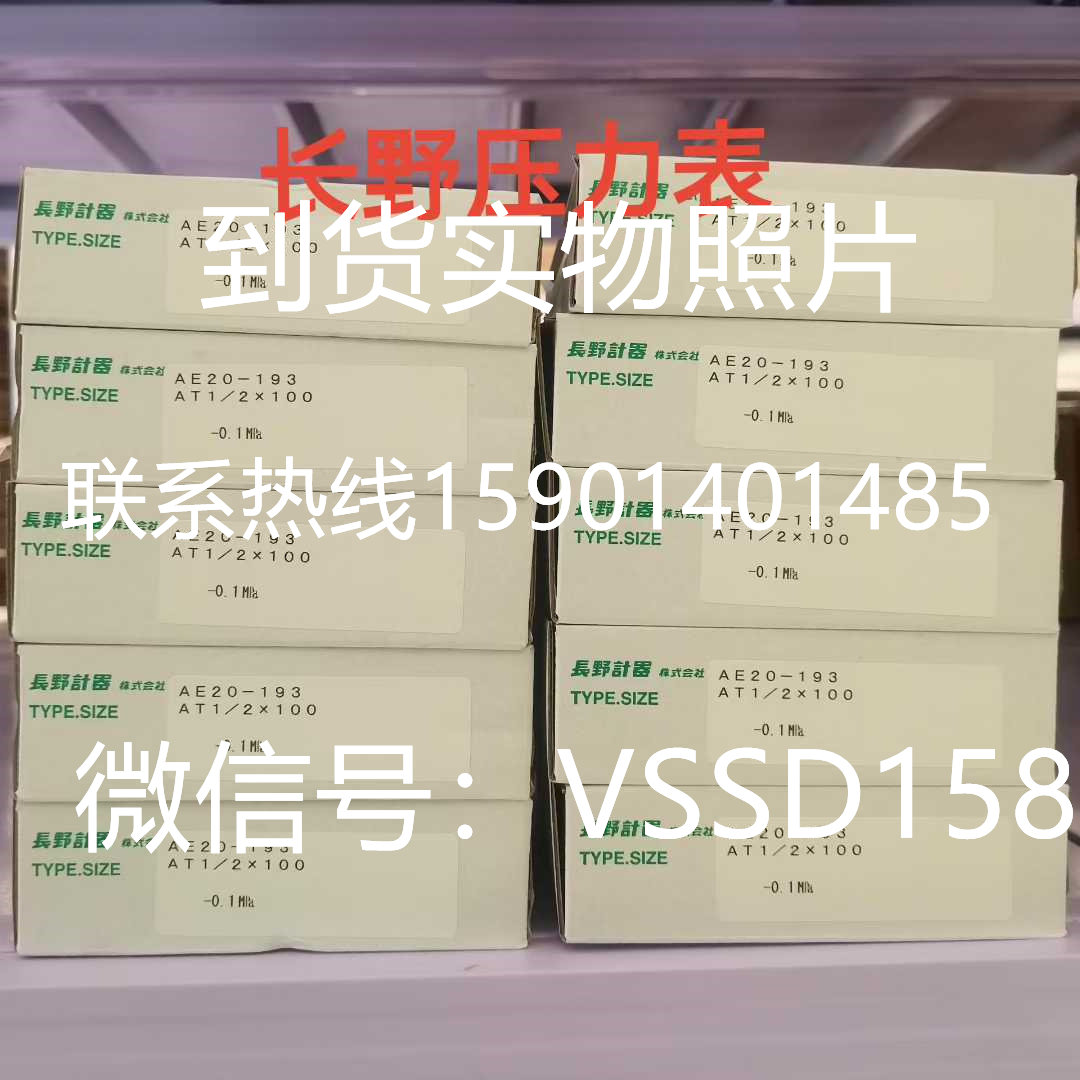 NKS长野计器压力表AE20-193-3000200XXXJ0 (-0.1-0MPA) 禁水处理