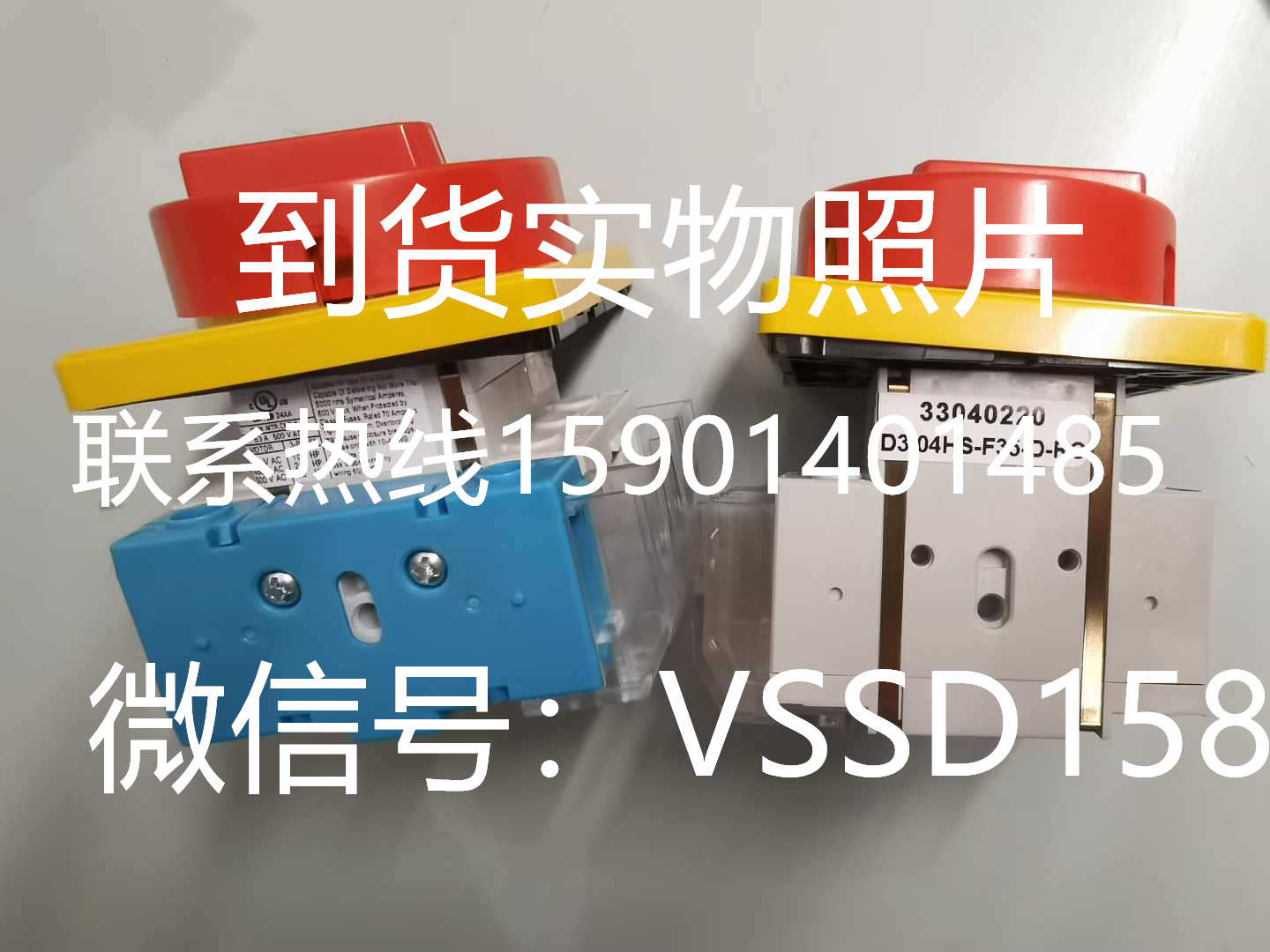 德国进口ELEKTRA主控开关D3 04HS-F35-D-RG  33040220 (2)