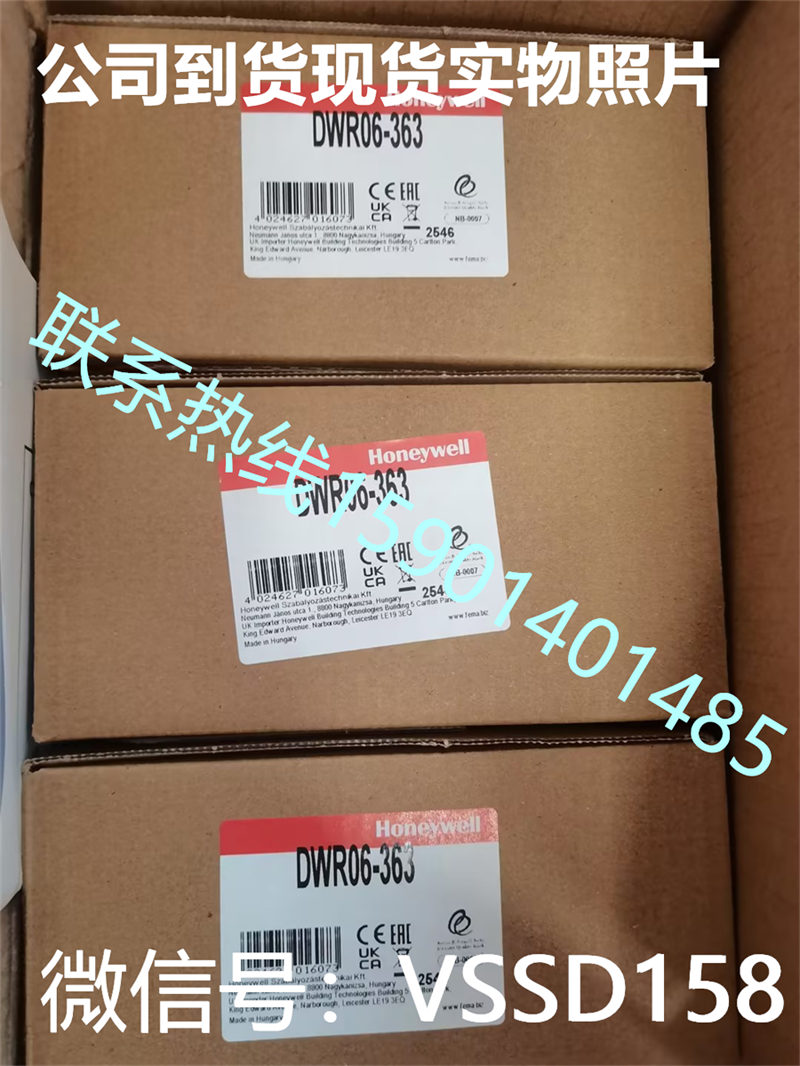 DWR06-363德国菲玛FEMA--DWR压力监测限制器