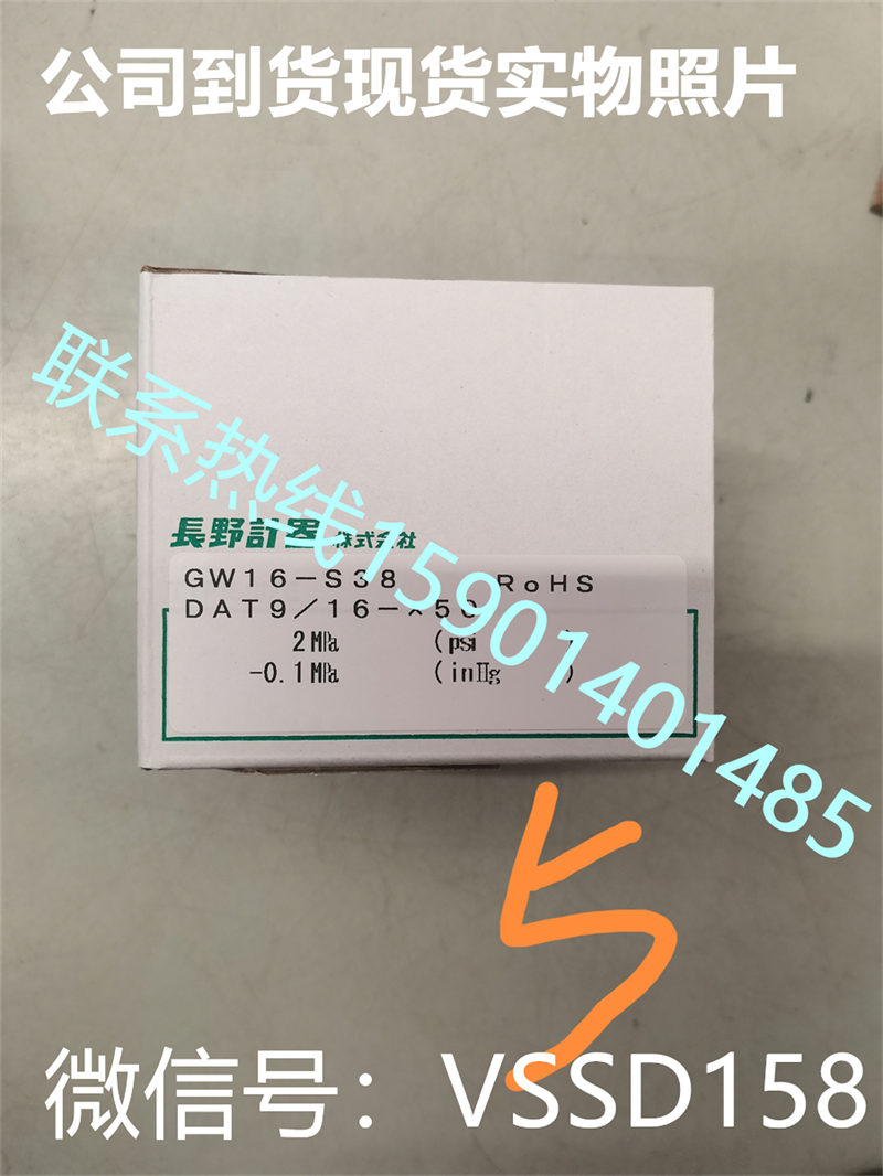 NKS长野计器14 背接轴向VCR气体压力表GW16-S38高纯工艺长野GW16-S38  -0.1-2MPA