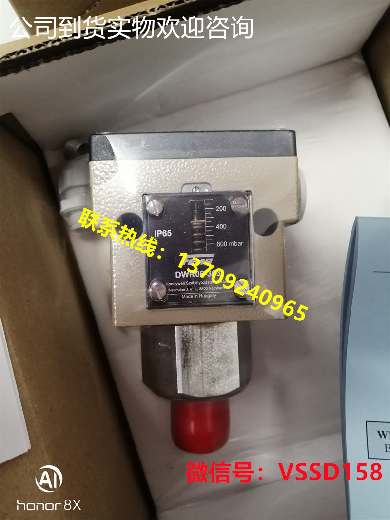 FEMA Controls Honeywell GmbH  FEMA燃气压力开关 DWR06-363 (2)