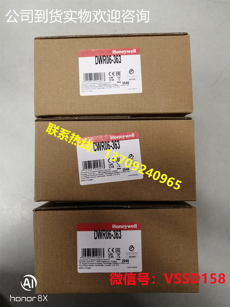 FEMA Controls Honeywell GmbH  FEMA燃气压力开关 DWR06-363 (1)