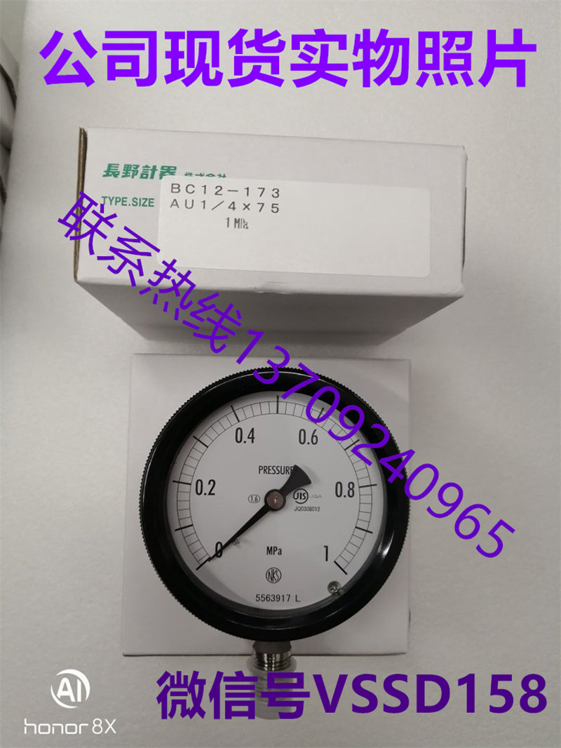 NKS长野计器压力表  BC12-173-3000000XXXJ0 (0~1MPA)