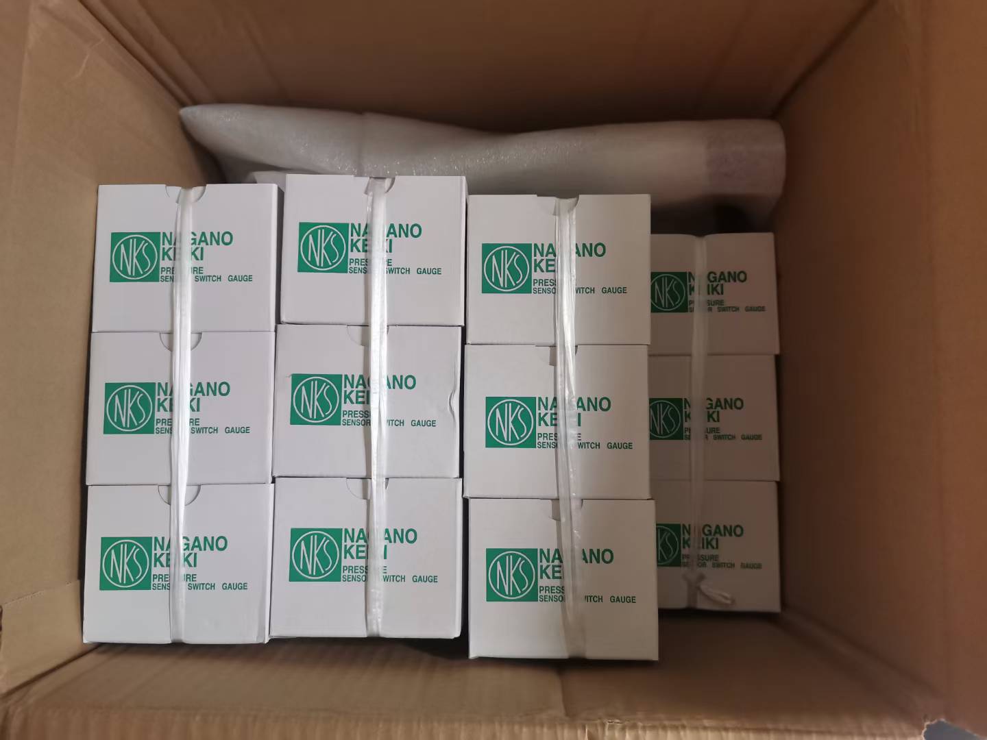 NAGANO压力计PG-0-600K-4VSM-C-P-N 长野NKS压力表 正品全新 (1)