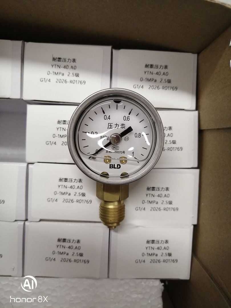 布莱迪BLD 全不锈钢波登管压力表 YTH-40 (2)