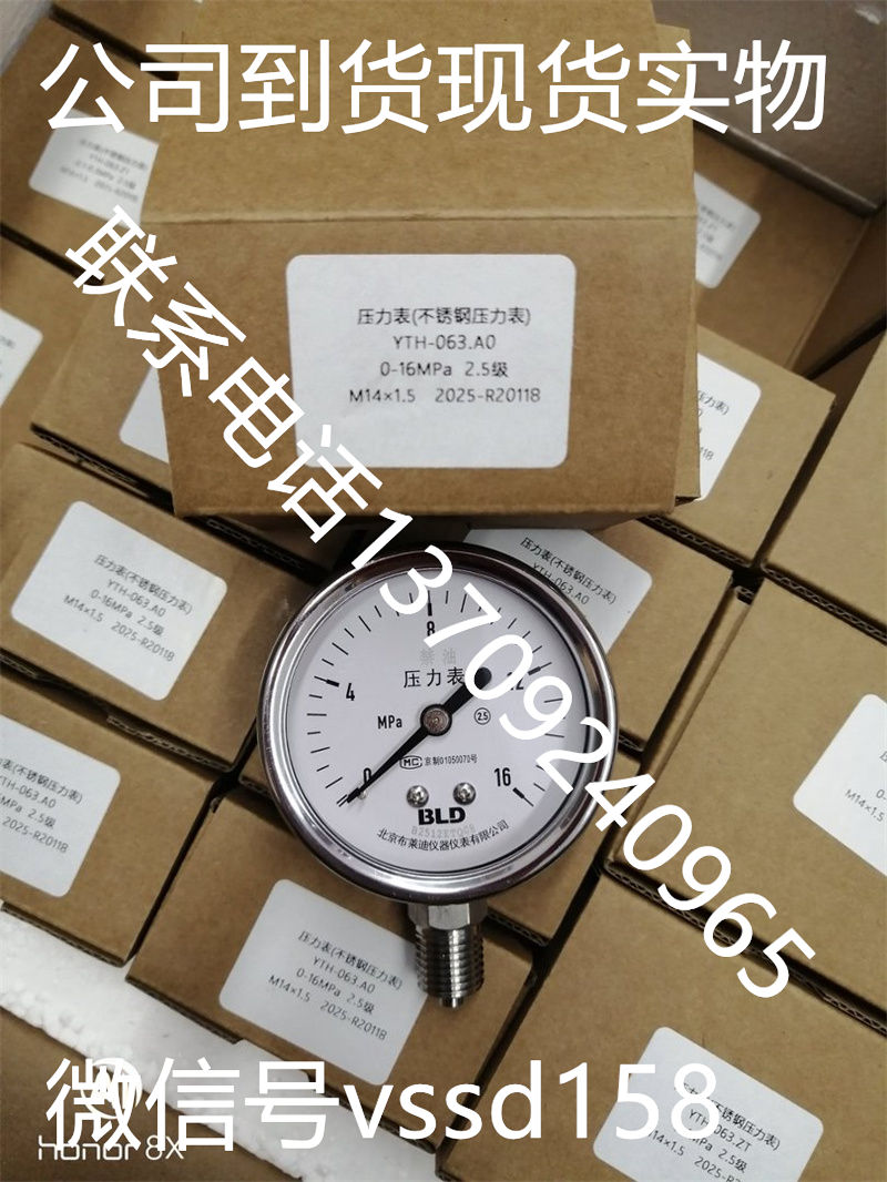 布莱迪BLD不锈钢压力表YTH-063.AO 0-16MPA
