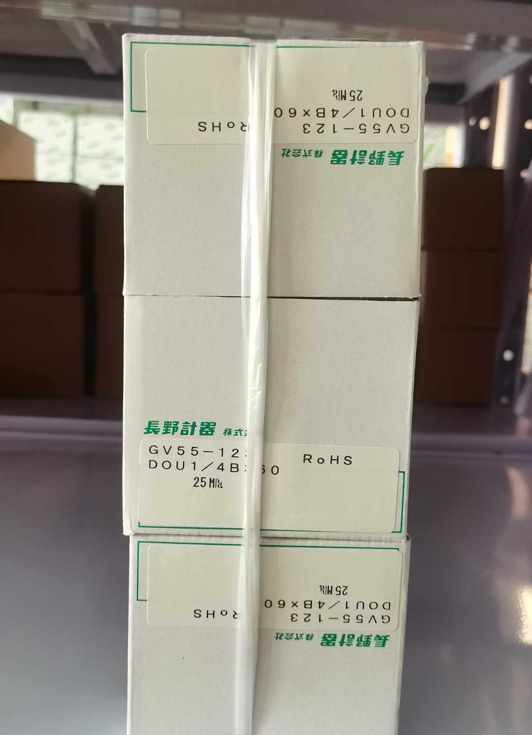 NKS长野计器压力表：GV55-123-4000000XXXX0（0~25MPA)