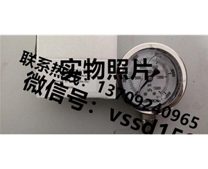 雅斯科 ASHCROFT 压力表63-5008-S--02-L-0-4000KPA-XC4-GR (3)