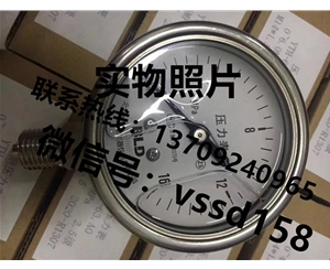 北京布莱迪BLD&brighty 压力表YTH-100.A0  YTHN-100.A0  YTN-100.A0  YTHN-63 (14)