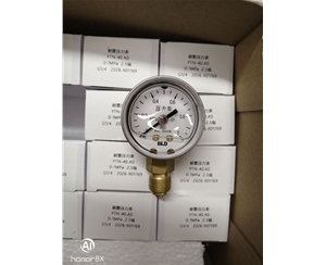 布莱迪BLD 全不锈钢波登管压力表 YTH-40 (2)